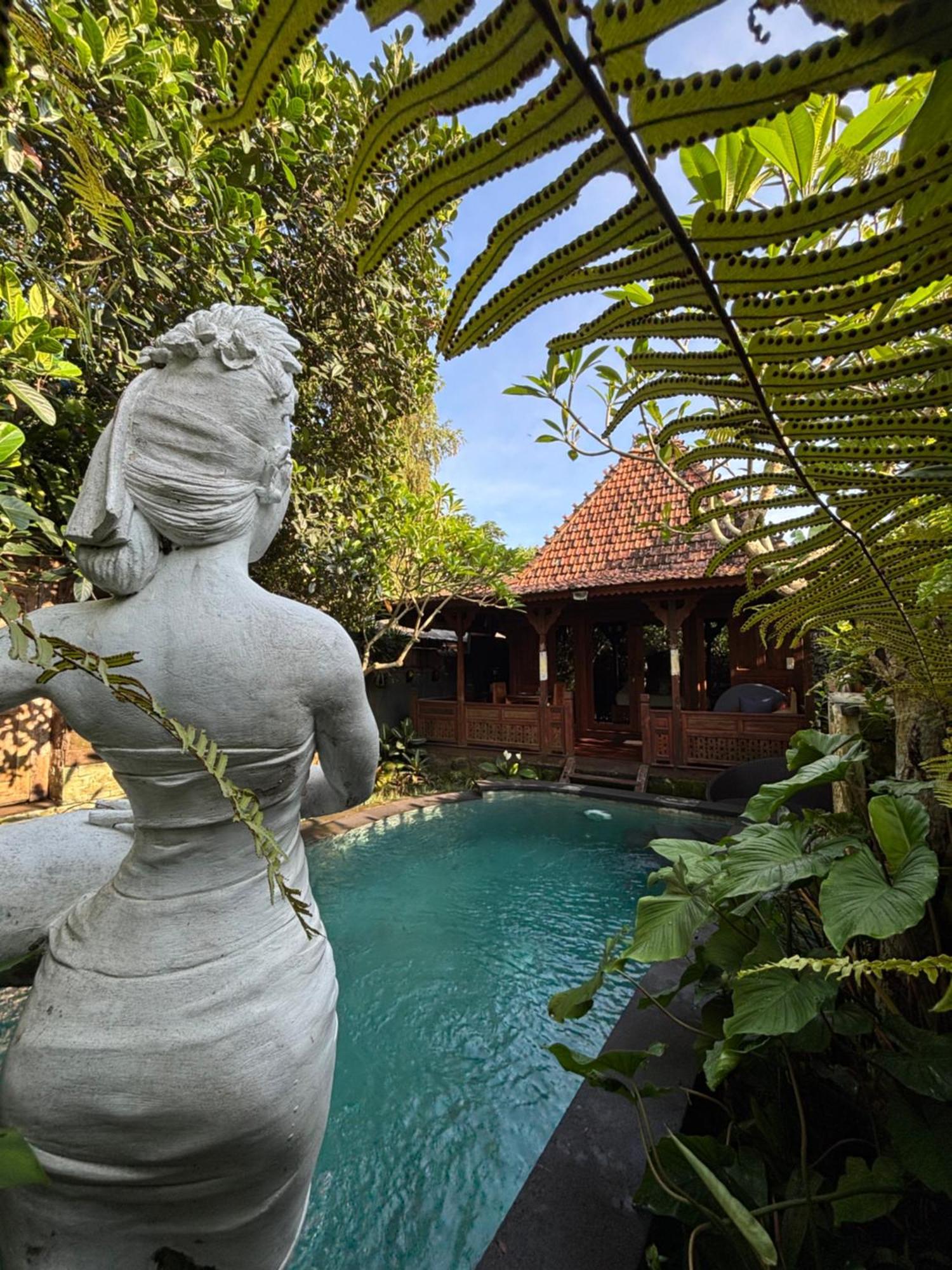 Bumbung Sari Villa Убуд Екстер'єр фото