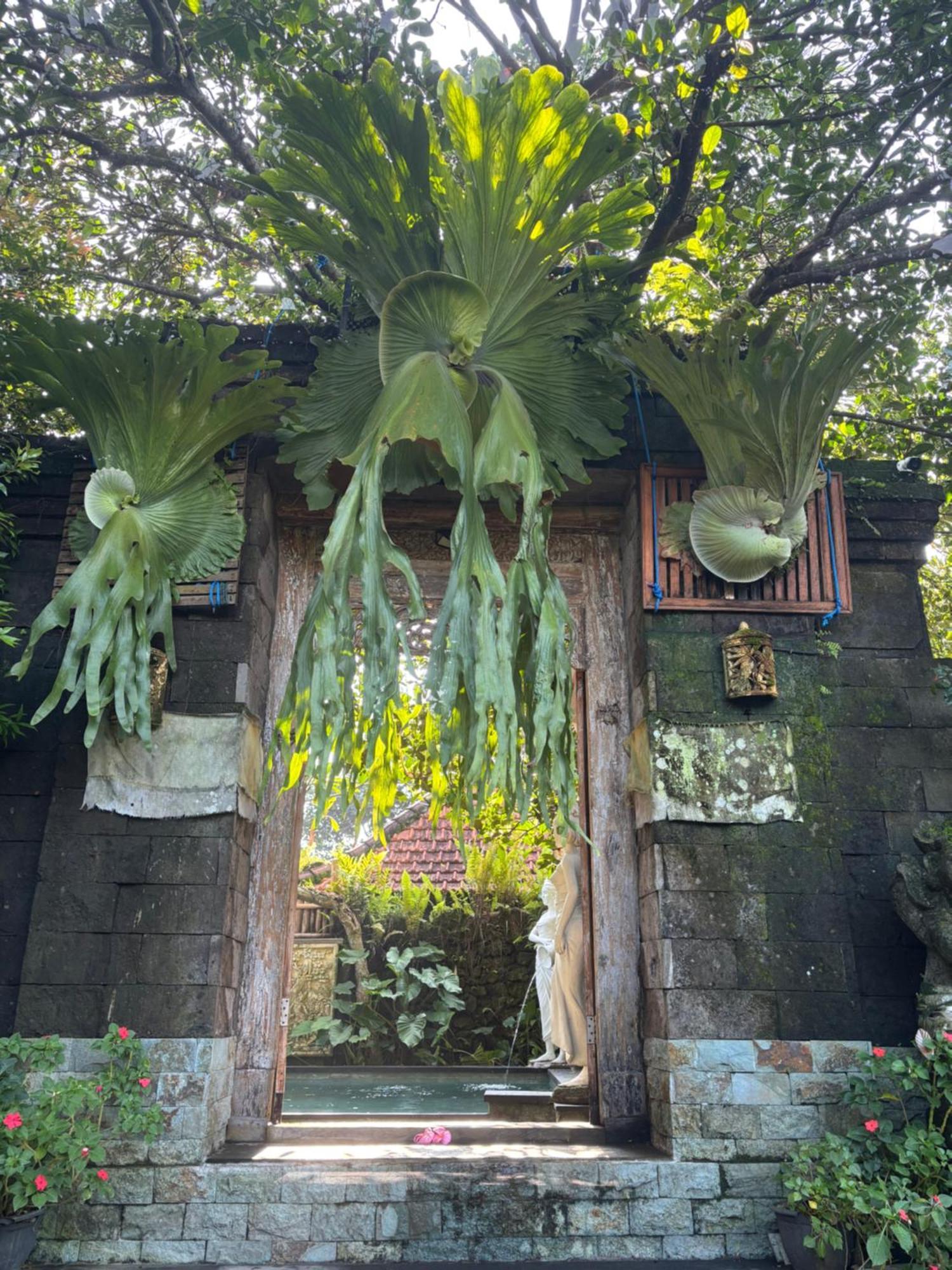 Bumbung Sari Villa Убуд Екстер'єр фото