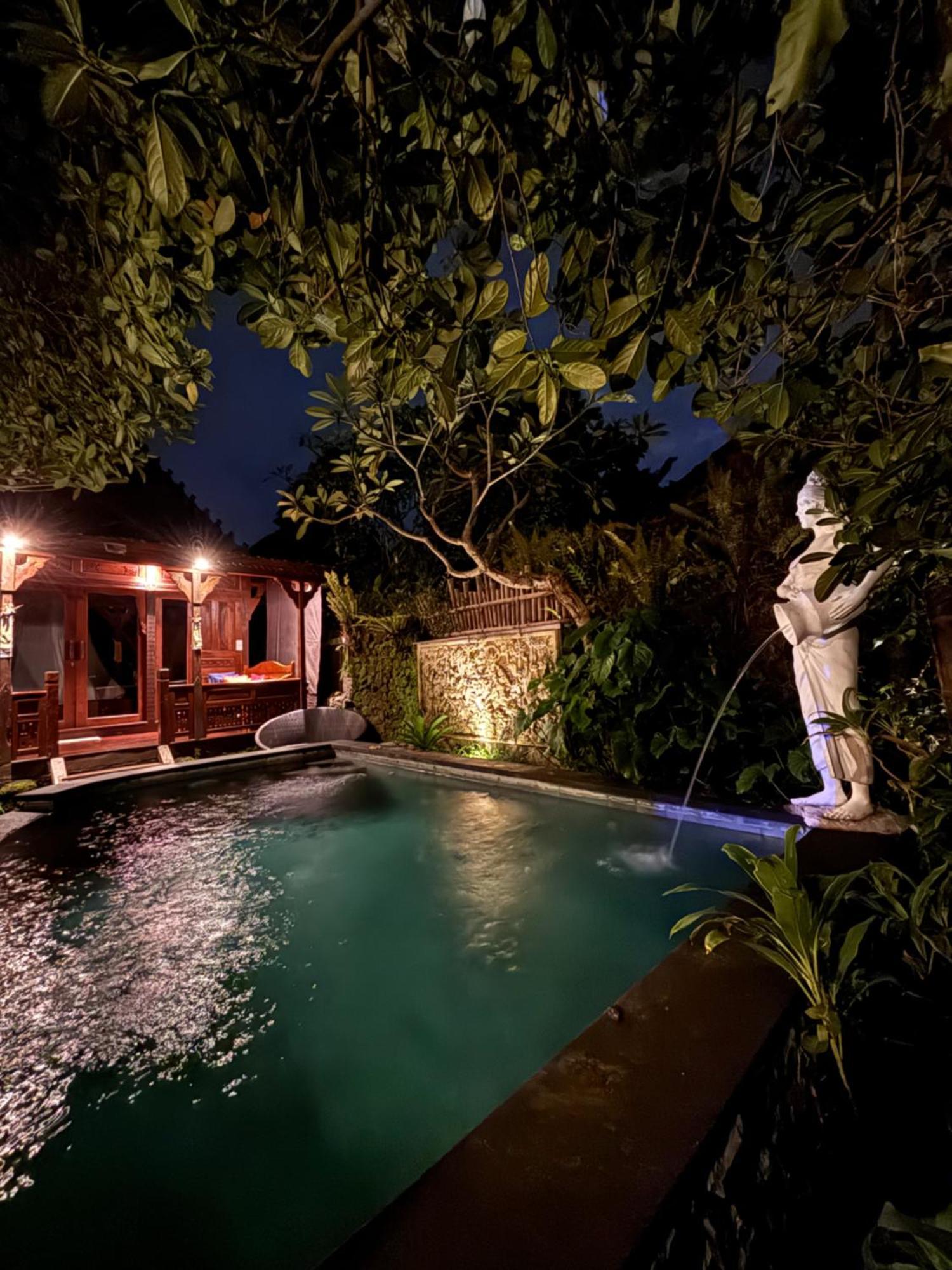 Bumbung Sari Villa Убуд Екстер'єр фото