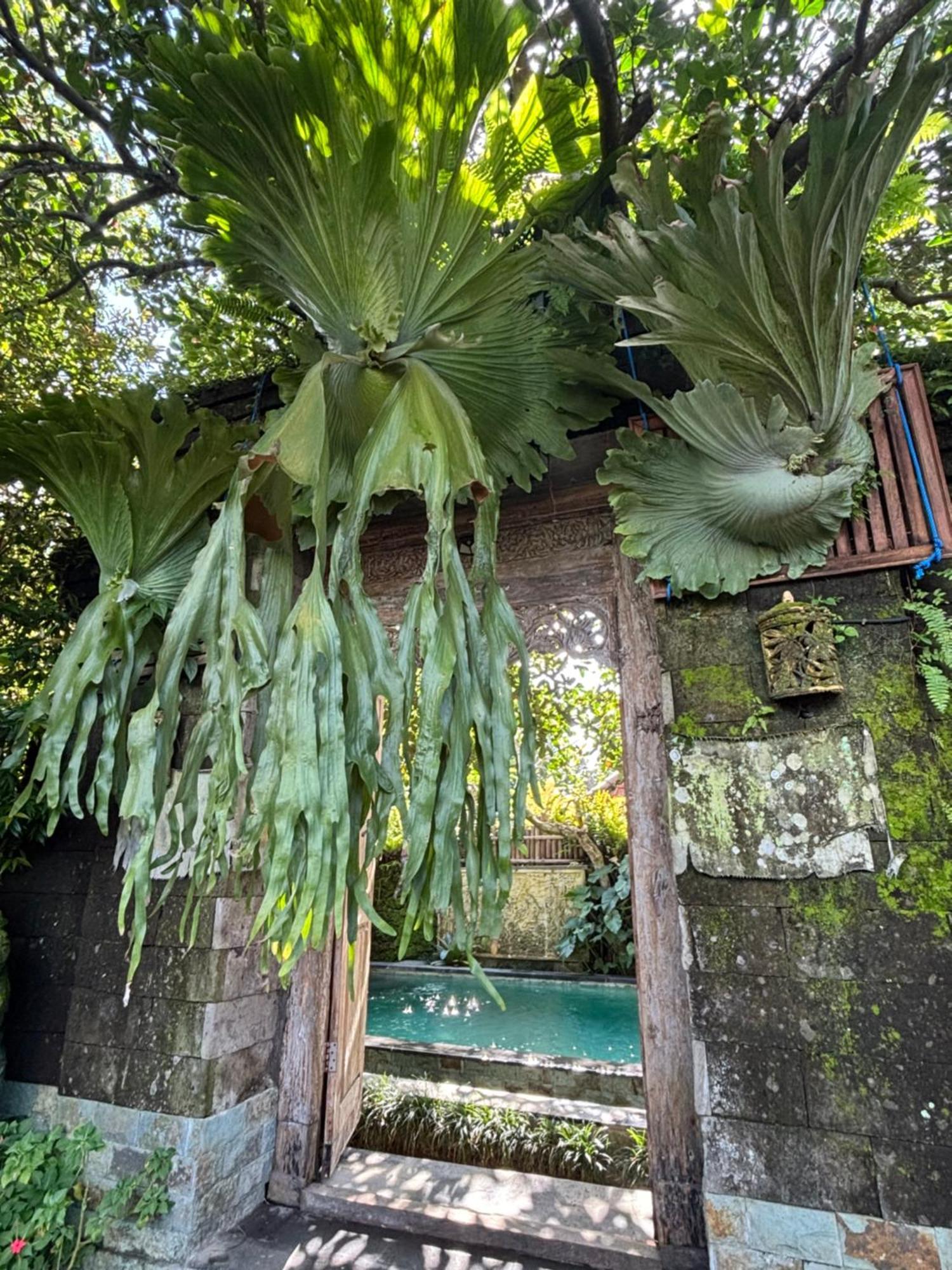 Bumbung Sari Villa Убуд Екстер'єр фото