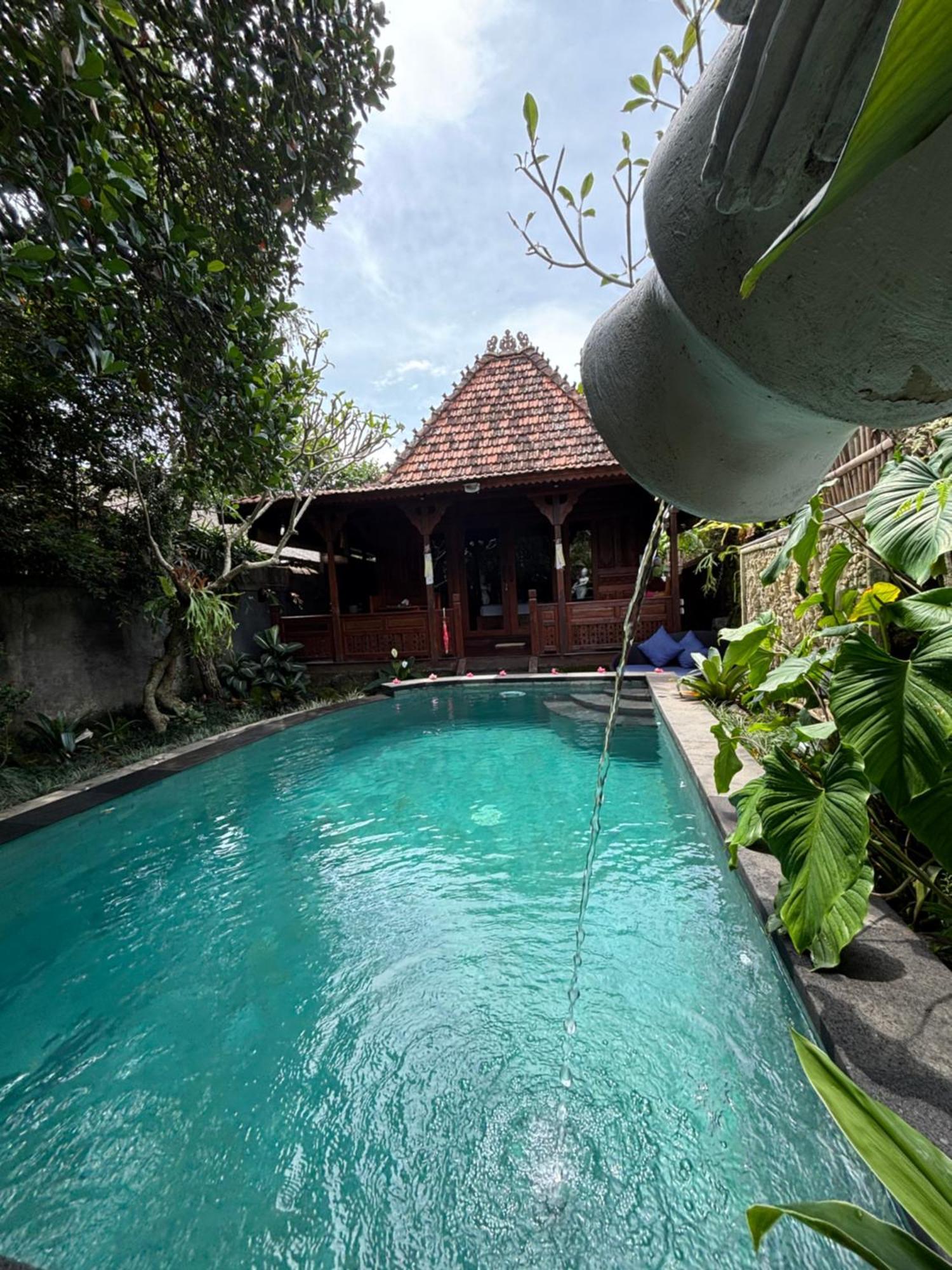 Bumbung Sari Villa Убуд Екстер'єр фото